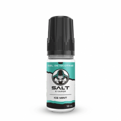 Eliquide ICE MINT SEL DE NICOTINE 10ML SALT E-VAPOR  sur Anticlope expert en cigarettes électroniques depuis 2011