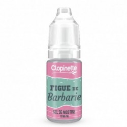 Eliquide FIGUE DE BARBARIE SEL DE NICOTINE 10ML  sur Anticlope expert en cigarettes électroniques depuis 2011